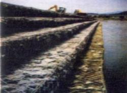 ���ڰ���