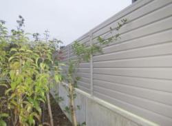 ���ڰ���