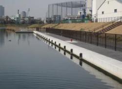 ���ڰ���